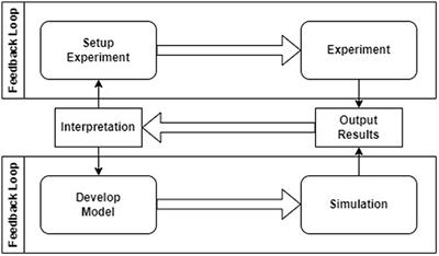 Neural simulation pipeline: Enabling container-based simulations on-premise and in public clouds